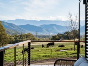 Couch on veranda with views to cows in paddock and the mountains