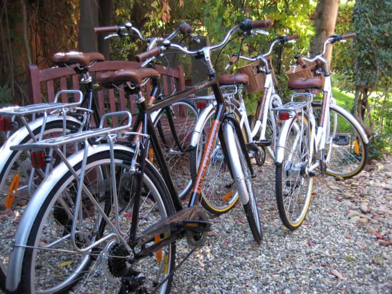 Complimentary Bicycles to use