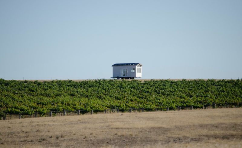 Hounds Run Tiny House sits at the top of the vineyard