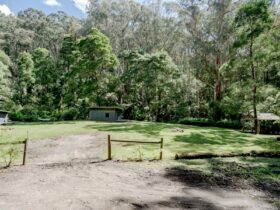 King Parrot Campground entrance