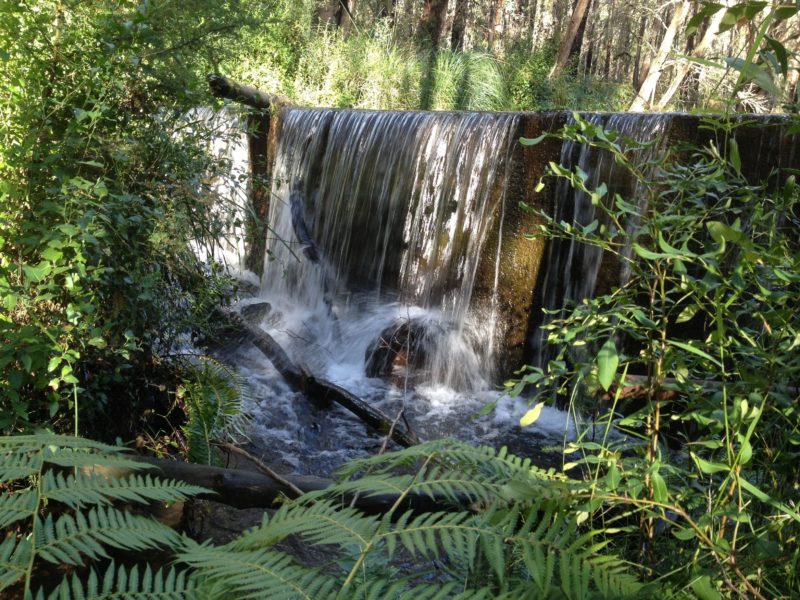 KRWC Weir on King Parrot Creek