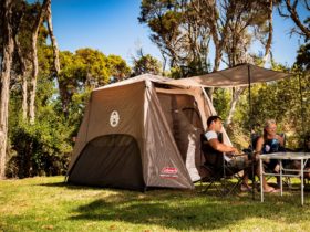 Camping Long Jetty Foreshore Caravan Park