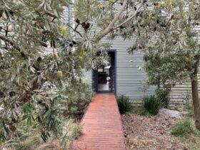 Image of front of house showing corrugated tin cladding and walkway to front door surrounded by tree