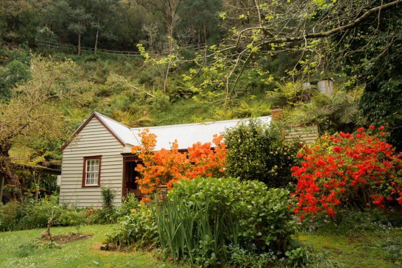 A view of the cottage from the front garden in spring, with orange and red azaleas in flower.