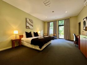 The Grand Oaks Resort double, king, or superior king room