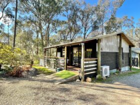 Woolshed 4 cabins with a firepit