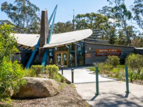 Exterior shot of the Aboriginal Art Gallery set in a bush setting in Kalimna West, East Gippsland
