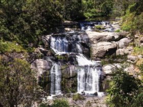 Agnes Falls, Josie Withers, Gippsland 2017