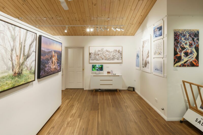 Photograph of Alpine Light Gallery interior