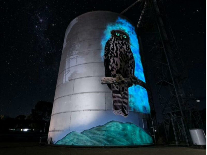 silo art, avoca, barking owl
