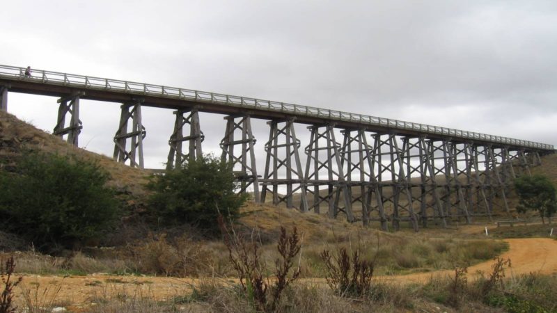 Trestle bridge raised above green bushland on a grey cloudy day