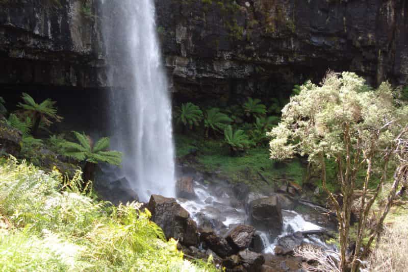 Bindaree Falls