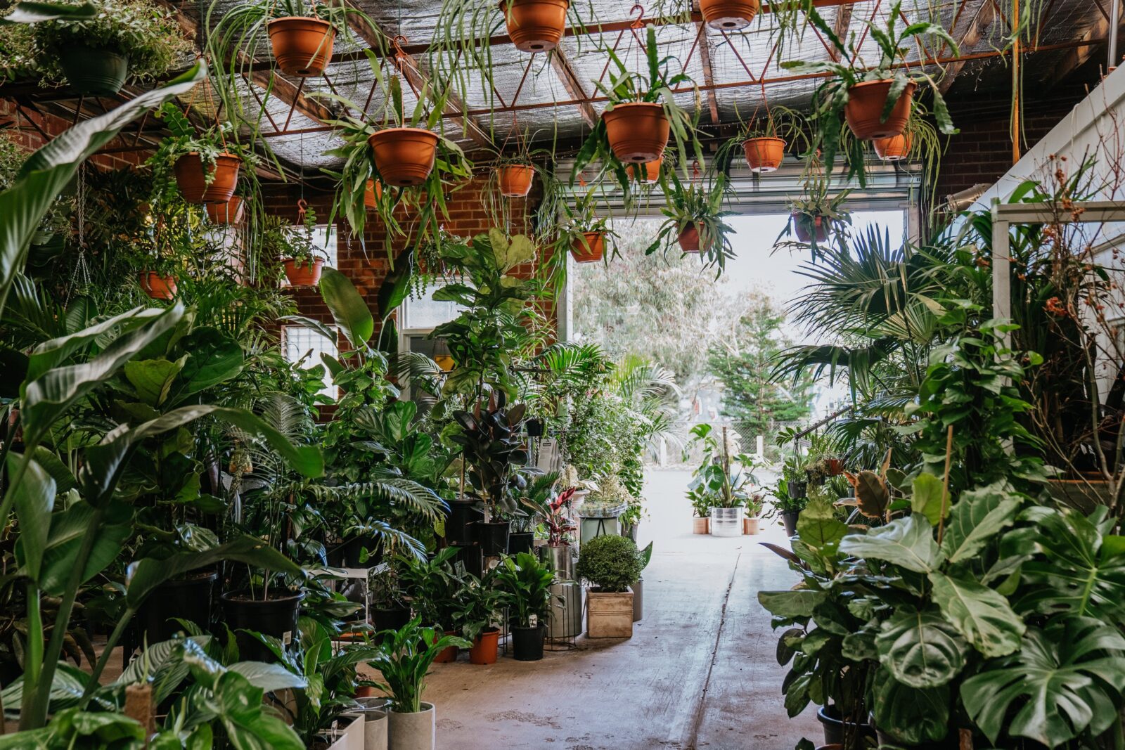 Botanicah indoor jungle