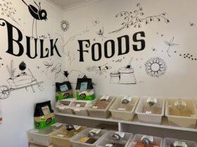 Bulk foods display with drawings on the wall