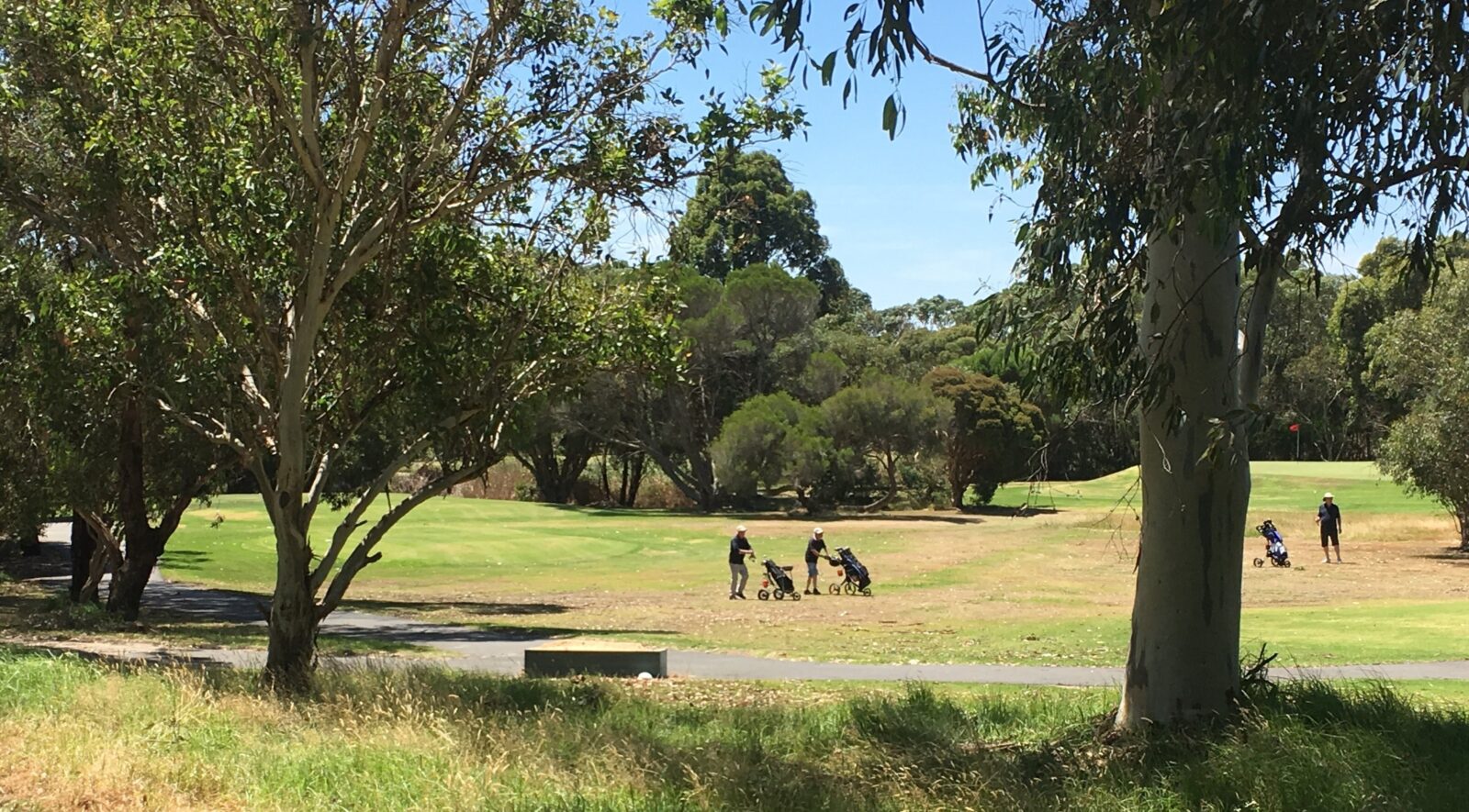 Centenary Park Golf Course Play
