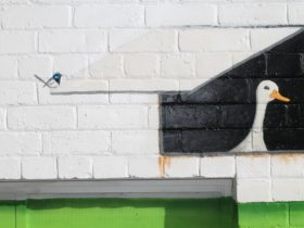 Stay the duck at Home mural - detail