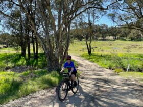 Cyclist, Gravel Road, green grass, trees and creek bed