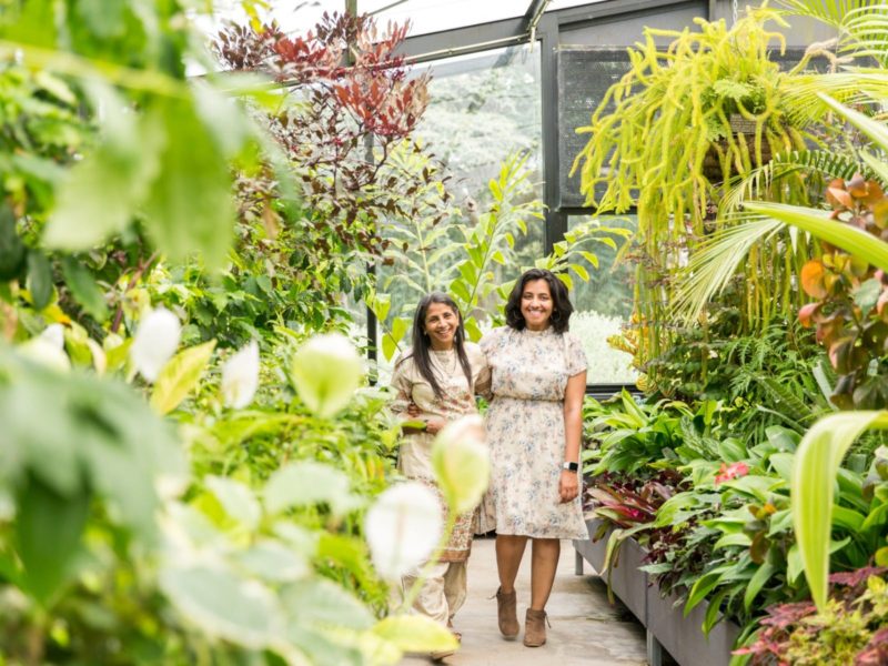 Two women walking through green house full of luscious garden