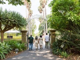 Four people with backs towards the camera walking under the entry gate to the garden