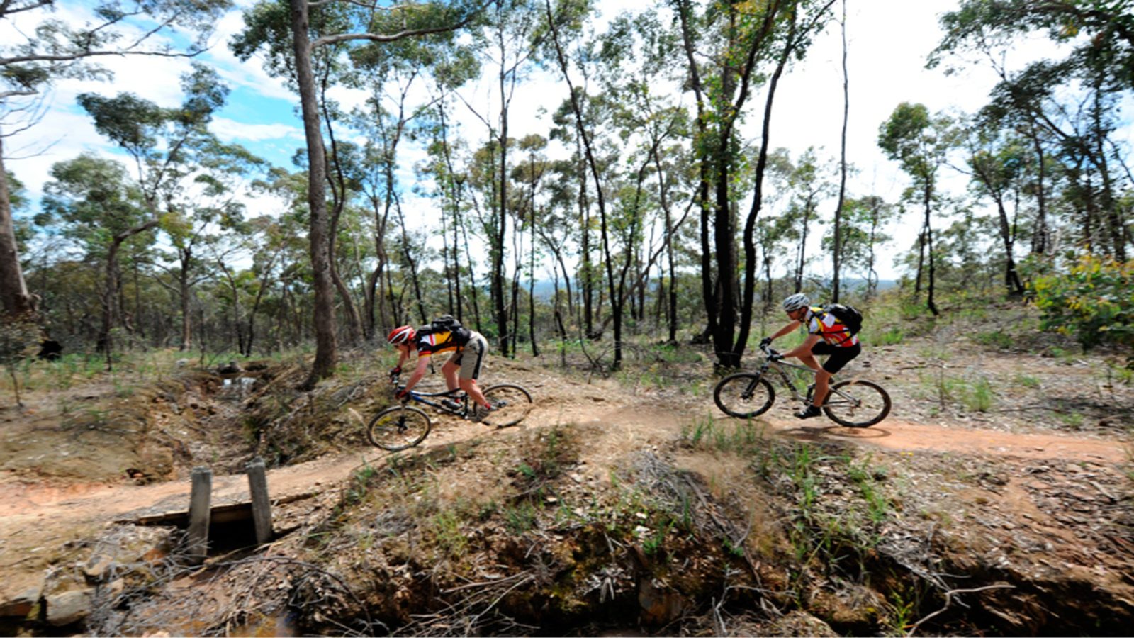 two cyclists on dusty track in forest with trees and blue skies in background