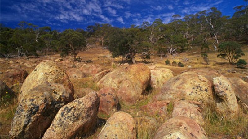 orange rounded boulders with trees and blue skies in background