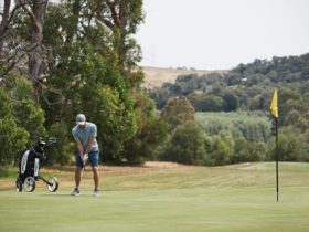 Golf at RACV Healesville Country Club and Resort edit