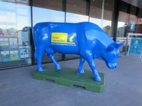 Greater Shepparton Visitor Centre - home of Moooving Art