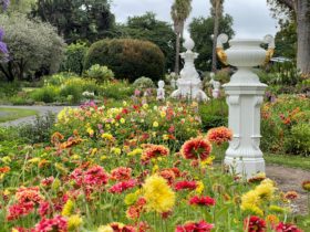 Historic Fountains and beautifully maintained specialist gardens at the Geelong Botanic Gardens