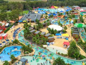 Gumbuya waterpark as seen from above with a birds eye view