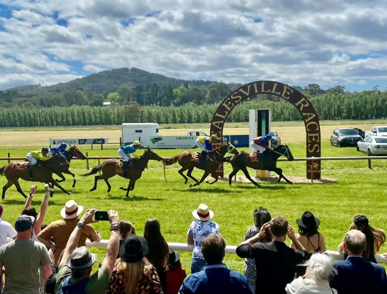 Winning Post at the Healesville Races