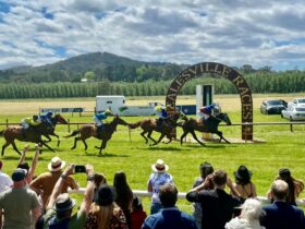 Winning Post at the Healesville Races