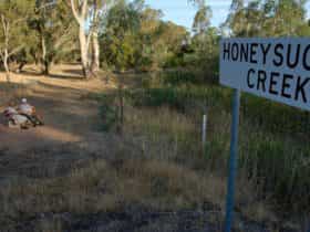 Honeysuckle Creek Walking Track