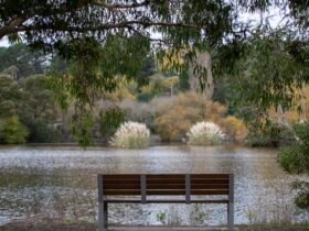 A park chair overlooking a lake and gardens