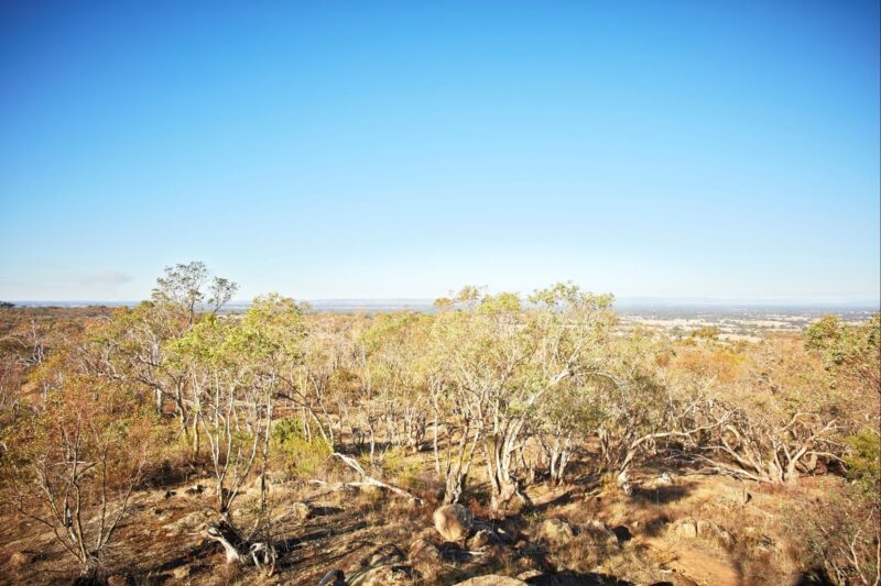Sunny sky, gum trees, rocks, view over farmland towards Wangaratta from Warby Ovens National Park
