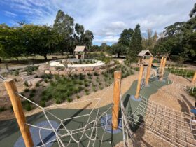 Botanic Park Playground