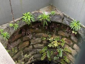 Mary MacKillop Stone Well - Quest Apartments