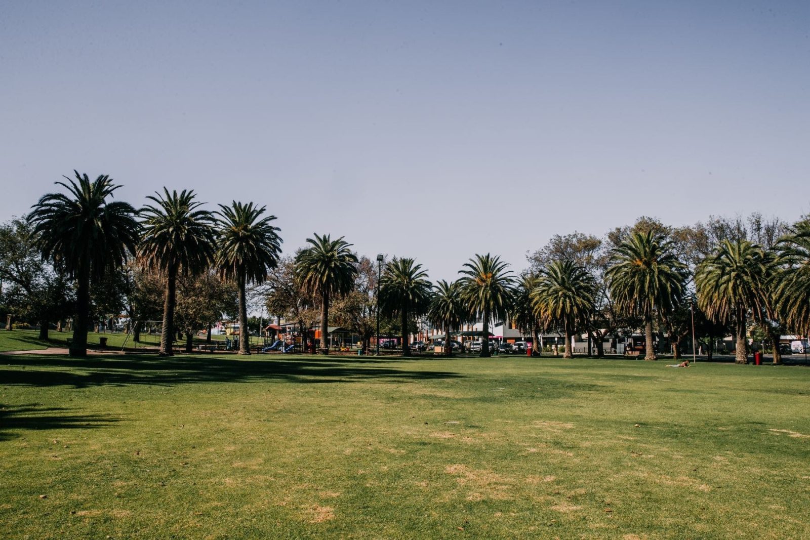 Photo of May Park Horsham. Palm Trees are in the background