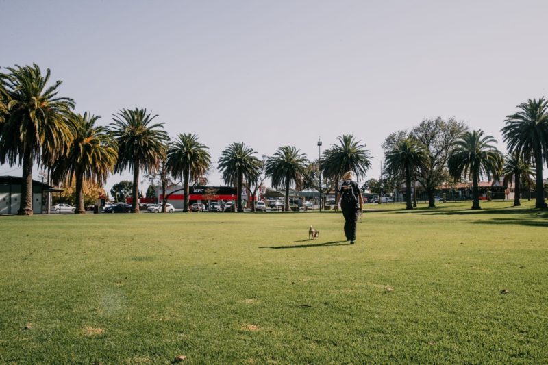 Photo of may park Horsham. Image includes a woman walking a dog