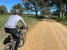 Cyclist on Gravel Road, green grass & pastures, Gum Trees, blue sky