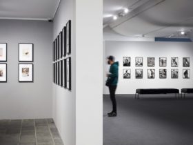 A man looks at photographs on display in the Gallery