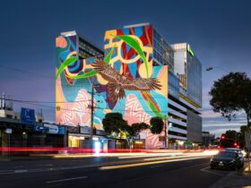 A large Indigenous mural featuring Bunjil on a building facade at night