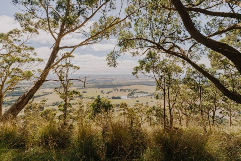 View from Mt Buninyong