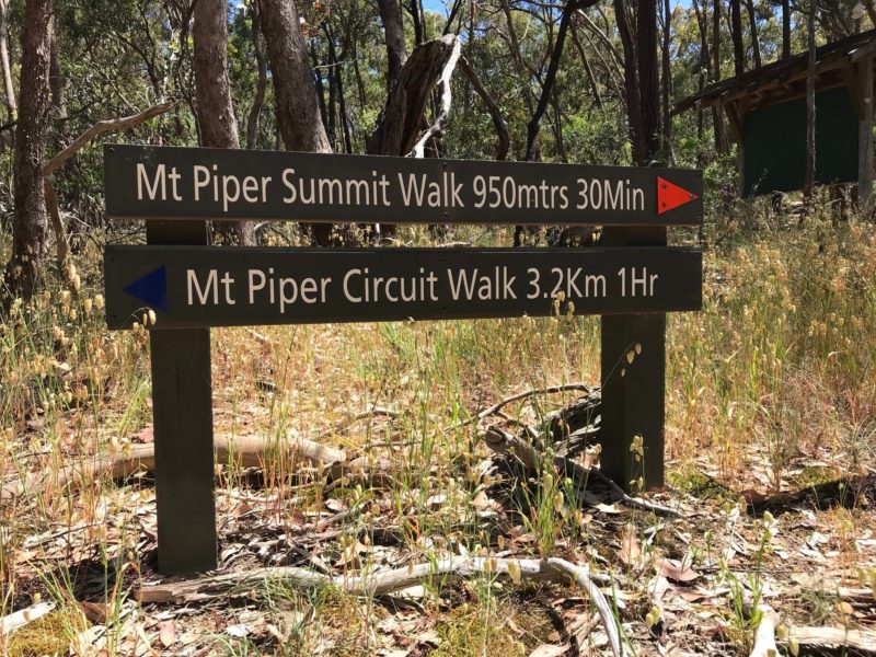 Mount Piper tracks