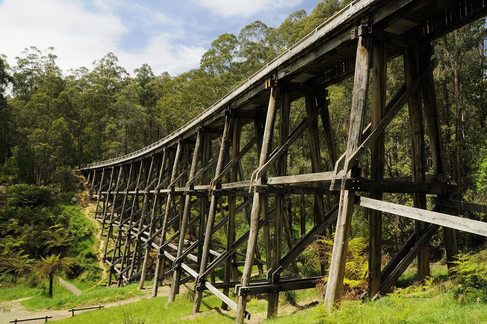 Noojee Trestle Bridge, Noojee, Gippsland, Victoria, Australia