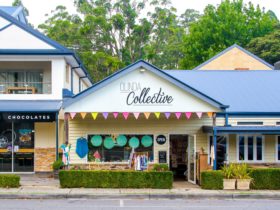 Olinda Collective store front and location between Only Mine and Dudley’s