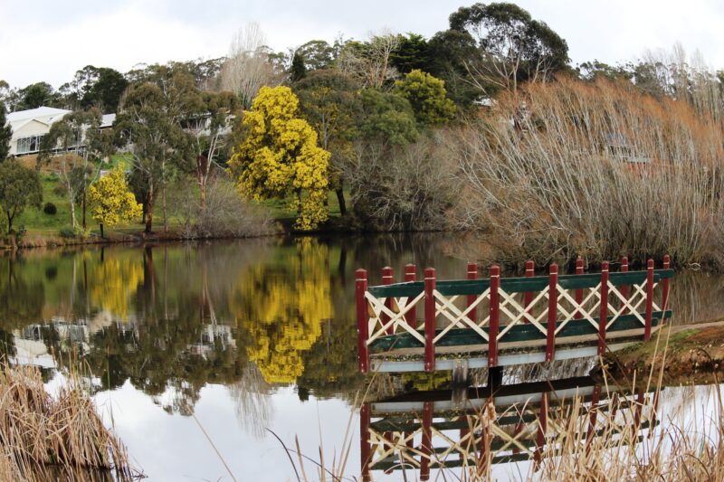 A jetty over the water of Lake Daylesford with end of autumn trees in the background