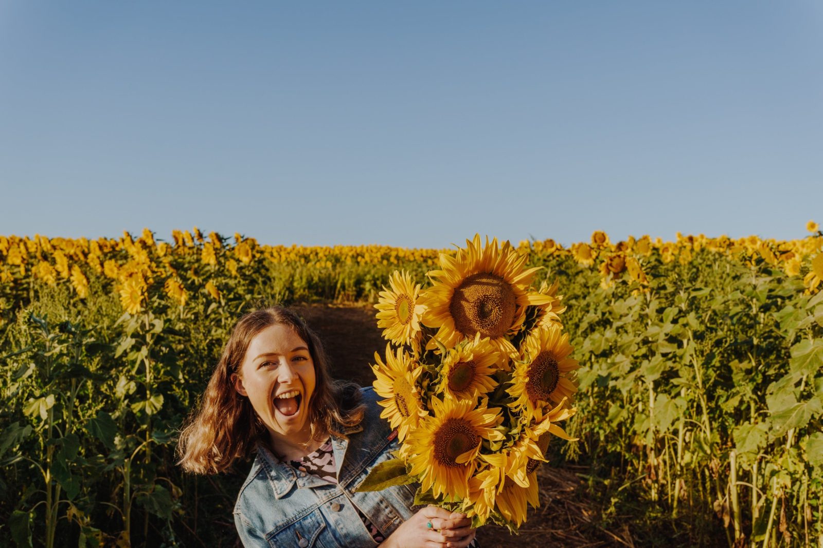 Lady in Sunflower Field Holding Flowers