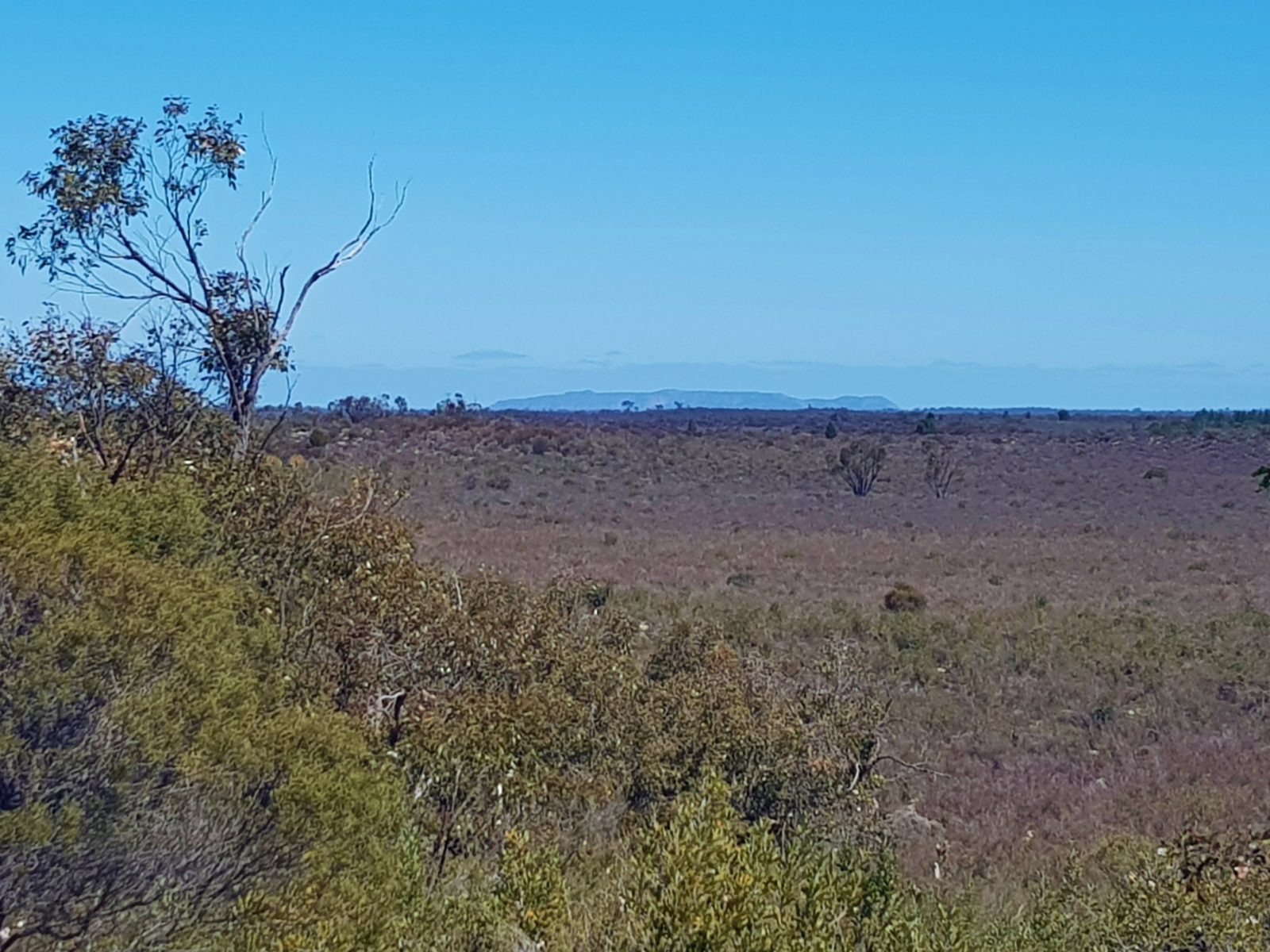 View from Pomponderoo Lookout across Little Desert NP towards Mt Arapiles.