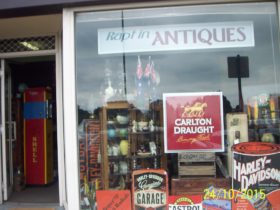 Rapt in Antiques shop window