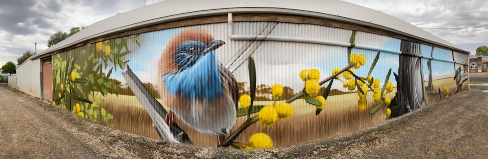 Detail of wren painted on corrugated iron shed wall